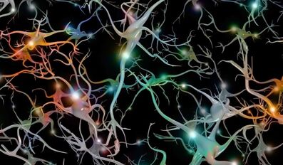Synthetic brain cells